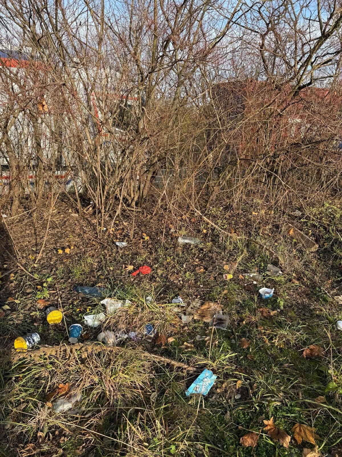 Umfeld einer Aktion im ESC30 Solidaritätsprojekt.